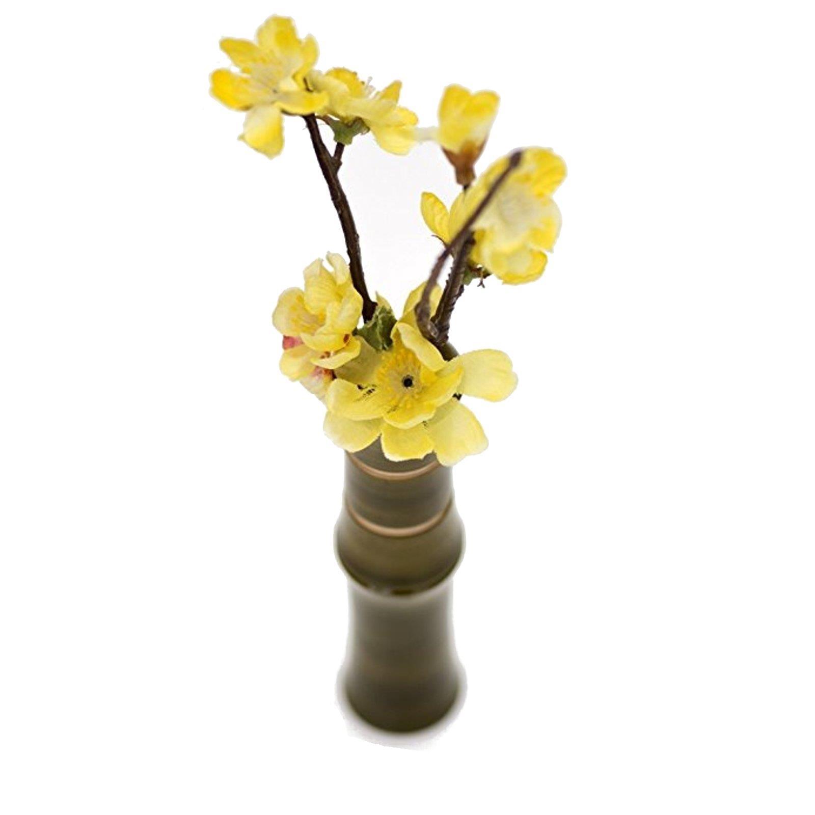 Liix Designer Echt Holz Fahrrad Lenker Blumen Vase Inkl